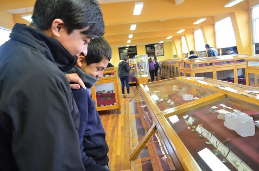 Niños del sector rural Islón pudieron conocer el Museo Mineralógico